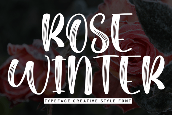 Rose Winter: A Display Font That Commands Attention